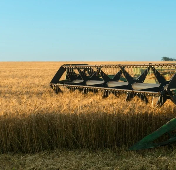 Orgasamtrix: A Modern Framework for Mind, Body, and Environmental Balance