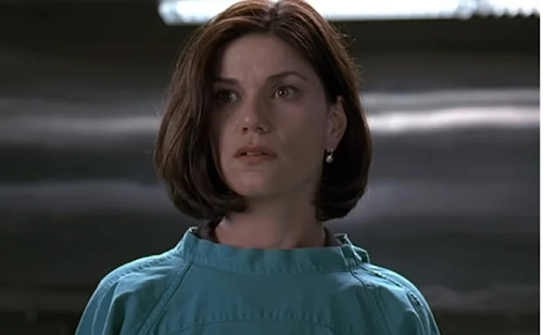 Linda Fiorentino Introduction & Everything You Need To Know 