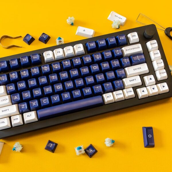 Mechanical Keyboard Kit: A Complete Guide to Building and Customizing Your Own Keyboard