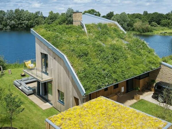 Sustainable Home Improvement Ideas That Support Eco-Friendly Living Styles