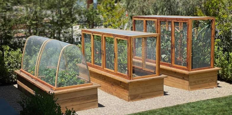 Raised Garden Bed Placement Strategies