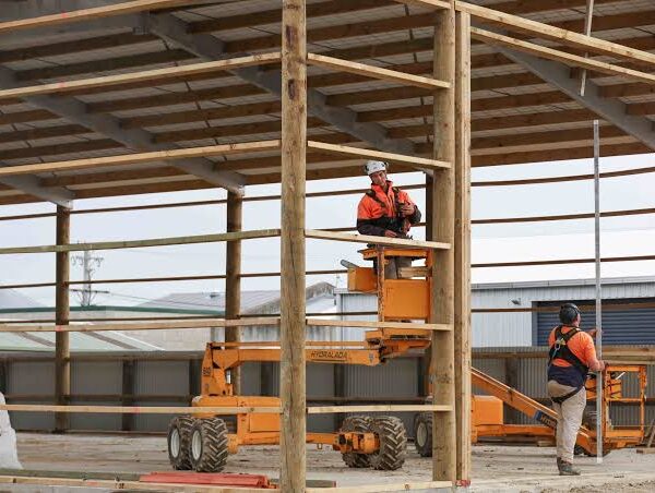 How Treated Timber Poles Support Durable Outdoor Projects in Durban