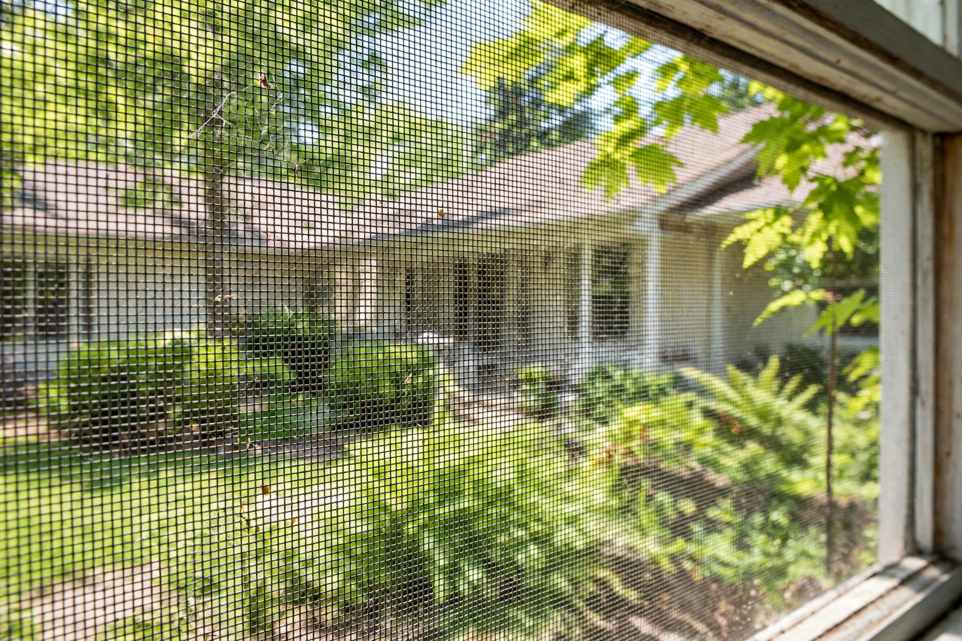 Durable Window Screen Materials That Improve Ventilation While Keeping Insects Outside Your Home
